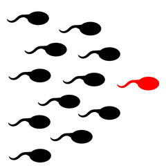 sperm and ovum. sperm. reproduction. pregnancy process