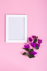 Cuadro para fotos o dibujos sobre fondo rosa con flor de bugambilia, muestra tu arte de primavera o fotografía 