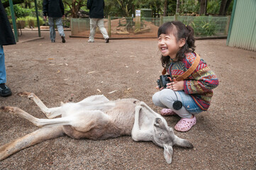 A girl who is enjoying the sight of a sleeping kangaroo lying down