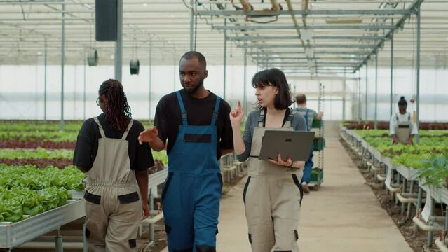 Greenhouse owner using laptop explaining to new african american worker planting methods for organic vegetables in hydroponic enviroment. Caucasian woman training employee on farming procedures.