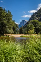 Deurstickers Half Dome View of half dome looking across the Merced river with tall grass in the front and a bright blue sky