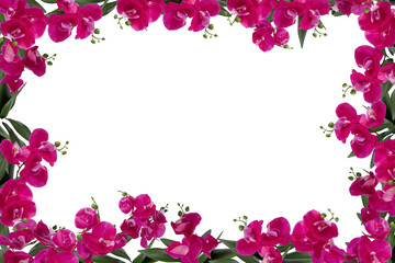 Floral and Foliage Border Design