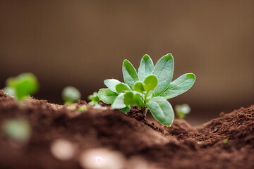 small sprouting green plant from dark soil, generative AI