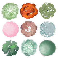  Architectural plans trees. Bushes and shrubs, top view for landscape design plan. Illustration PNG.