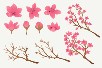 gradient sakura branches and flowers design collection