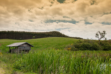 landscape with a old barn in the background