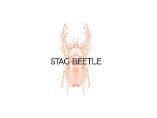 Stag beetle logo design