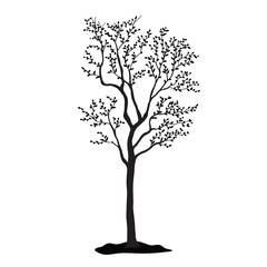 Obraz premium Isolated tree on the white background. Tree silhouettes. set of tree pine silhouette collections. Set for the design of various works, brochures, posters. 