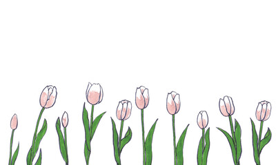 ペン画。ペンで描いたチューリップのフレームベクターイラスト。花と草木の花束イラスト。
Pen drawing. Framed vector illustration of tulips drawn in pen. Bouquet illustration of flowers and plants.