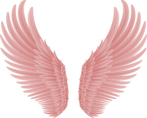 Fototapeta na wymiar angel wings