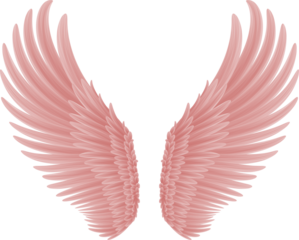 angel wings