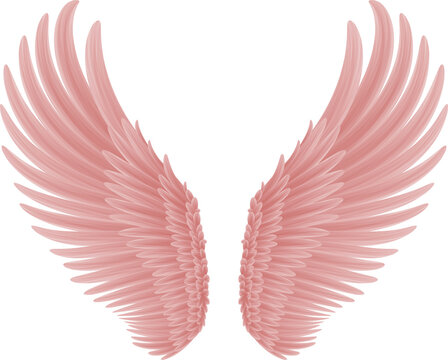 Angel Wings