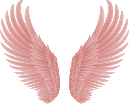 angel wings