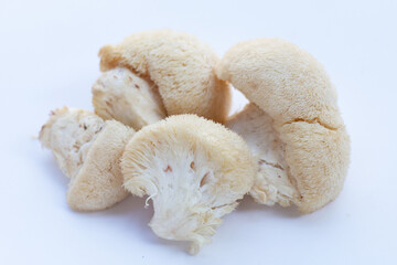 Fresh lion's mane mushroom on white background.
