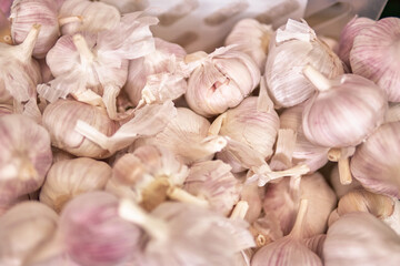 white garlic bunch in unpeeled segments in the foreground