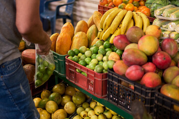 unrecognizable young man sorting lemons in market square with multiple fruits and vegetables around him