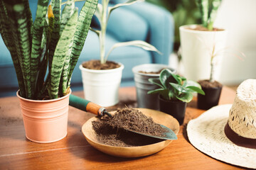 Coco peat for gardening