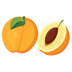 Vector illustration of apricot set. Set of cartoon ripe apricot with leaves, half and slices of fruits. Fresh apricot icons, isolated on white background. Elements for digital resources
