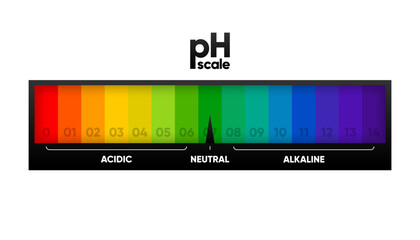 PH scale meter for acidic and alkaline solutions. Acid-base balance scale. Chemical test. Vector illustration.