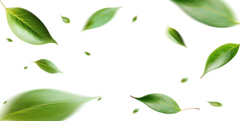 Fototapeta Green Floating Leaves Flying Leaves Green Leaf Dancing, Air Purifier Atmosphere Simple Main Picture. obraz