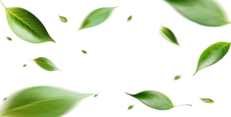Green Floating Leaves Flying Leaves Green Leaf Dancing, Air Purifier Atmosphere Simple Main Picture.