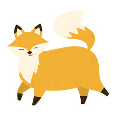 cartoon fox illustration 