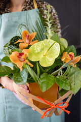 nice bouquet in the hands