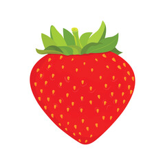 Vector illustration of strawberry fruit and leaf. Vector illustration for decorative poster, emblem natural product, farmers market. Website page and mobile app design.