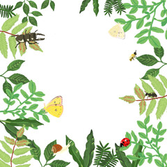 frame with insects and plants illustration