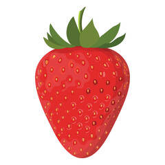 Vector illustration of strawberry fruit and leaf. Vector illustration for decorative poster, emblem natural product, farmers market. Website page and mobile app design.