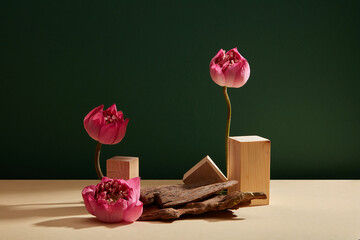 Front view of some lotus flowers (Nelumbo nucifera) standing beside wooden podiums and tree branch....