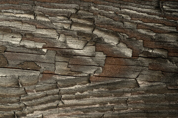Texture of black and dark brown old wood. Charred and burnt old board. Close-up of a burnt board texture. The rough surface of ebony caused by a burning fire. Dark charcoal or charcoal material