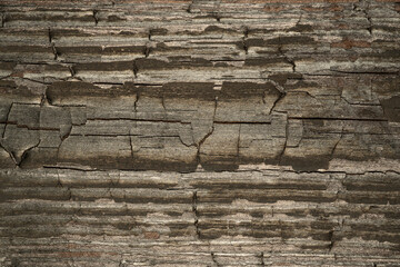 Texture of black and dark brown old wood. Charred and burnt old board. Close-up of a burnt board texture. The rough surface of ebony caused by a burning fire. Dark charcoal or charcoal material