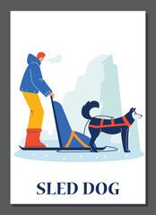 Sled dog trained to pull vehicle in harness on snow, flat vector illustration.