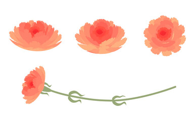 カーネーションのイラストパーツセット