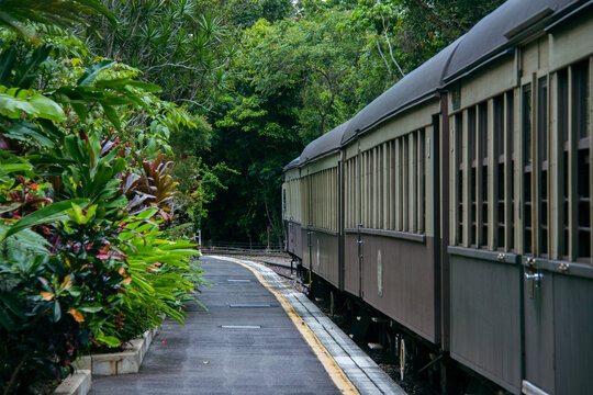 kuranda scenic railway train