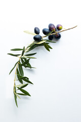 Obraz na płótnie Canvas olives and olive branches on a white background.