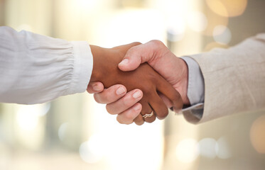 B2b, black woman or businessman shaking hands in deal, meeting or startup project partnership together. Teamwork, handshake or people with sales goals, bonus target or hiring agreement in office