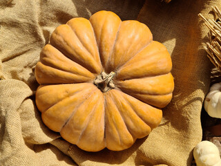 A large ripe pumpkin lies on a burlap, top view.