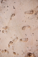 Footprints on the sand of the ocean, texture for a layout