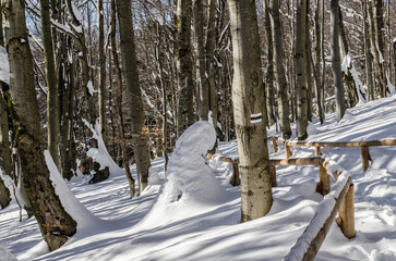 Szlak na połoninę Wetlińską - Bieszczady  © wedrownik52
