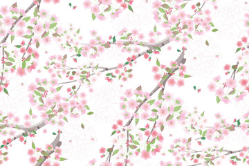 Obraz na płótnie Canvas Vector illustration of a seamless pattern of cherry blossom flowers for various events like weddings, anniversaries, birthdays, and parties. The design can be used for creating invitation cards