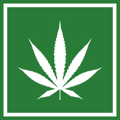 Cannabis leaf vector icon. Marijuana legalize symbol, marijuana or hemp icon, cannabis medical sign vector illustration