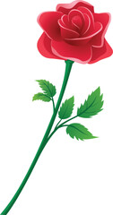 Vector illustration of a blooming red rose.
