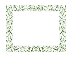Horizontal frame with wild oats isolated on white background. Hand painting for postcard design, invitation template, Valentine day, birthday, mother day cards, wedding invitation