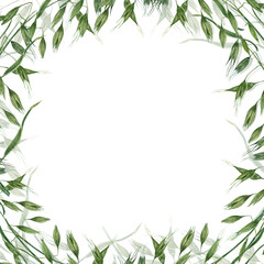 Watercolor wreath with wild oats isolated on green background. Hand painting for postcard design, invitation template, Valentine day, birthday, mother day cards, wedding invitation