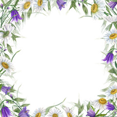 Fototapeta na wymiar Watercolor wreath with daisy, campanula, wild oats isolated on white background. Hand painting for postcard design, invitation template, Valentine day, birthday, mother day cards, wedding invitation