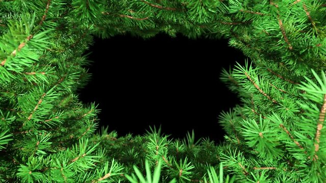 Seamless animation of a tunnel made of spruce branches. 3D rendering with alpha channel