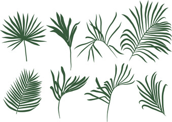Palm leaves silhouette collection vector illustration. Tropical palm trees silhouette isolated on white background. 