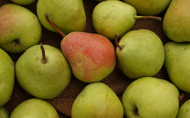 Green background with ripe pears. Garden harvest texture close-up.